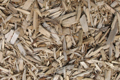 biomass boilers Moretonwood